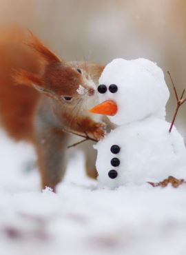 Тёплой весны