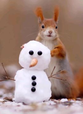 Тёплой весны