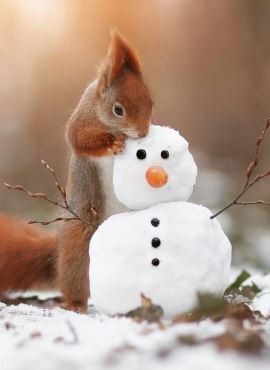 Тёплой весны